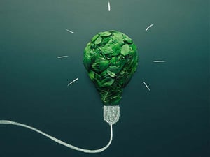 Mixed media art of lightbulb made out of leaves.