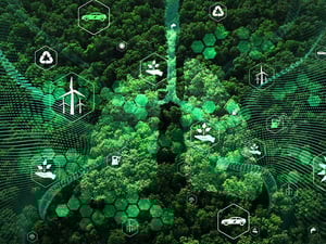 Abstract image of forest with icons.