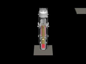 Normal system operation video. 